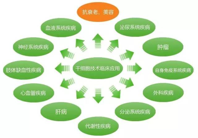 干细胞临床应用时代到来 人体干细胞技术开发与应用