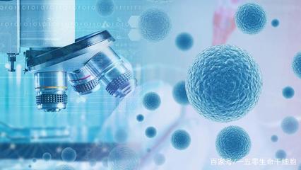 完善干细胞治疗临床技术指导，推动人体干细胞技术开发与应用